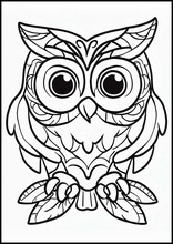 Owls - Animals5