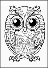 Owls - Animals6