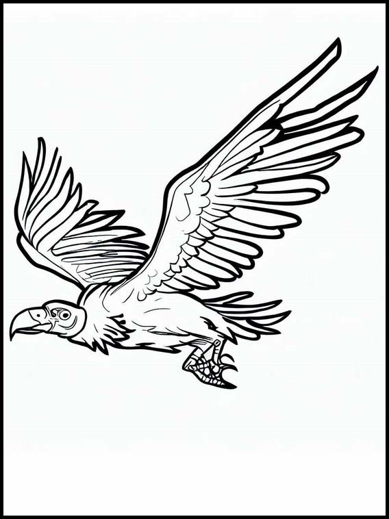 Vultures - Animals 6