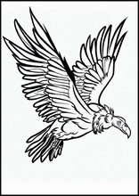 Avvoltoi - Animali5