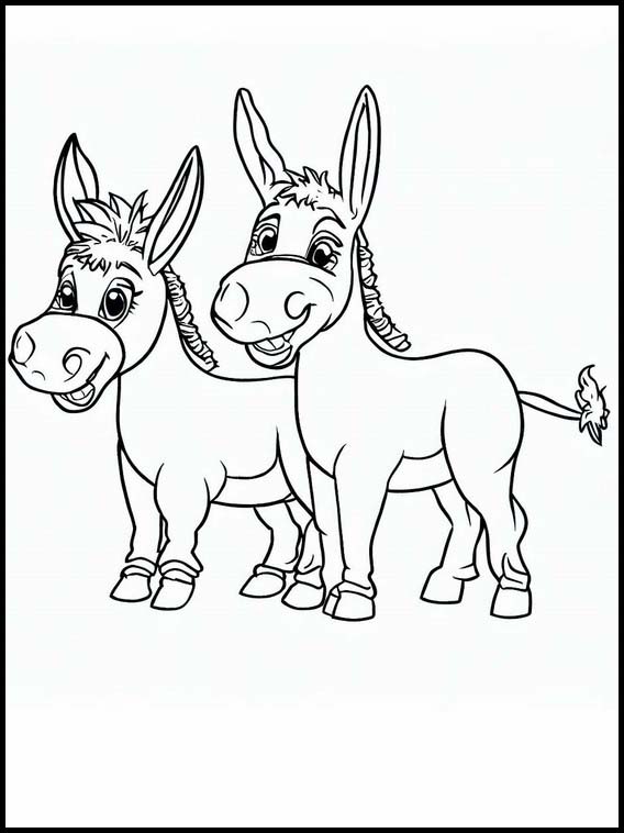 Donkeys - Animals 5