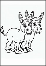Donkeys - Animals3