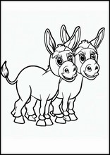 Burros - Animales3