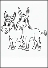 Donkeys - Animals5