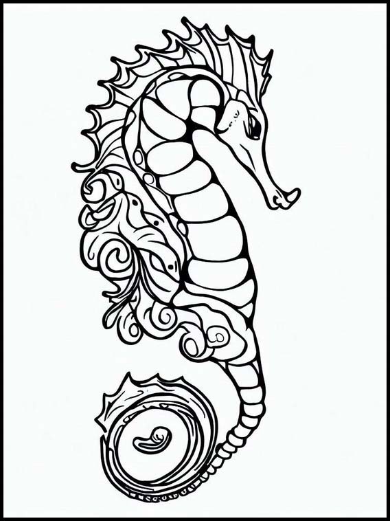 Seahorses - Animals 4