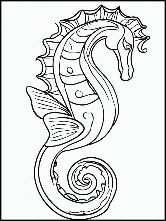 Seahorses - Animals 5