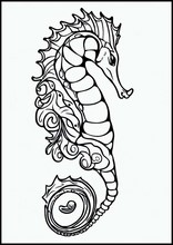 Seahorses - Animals4