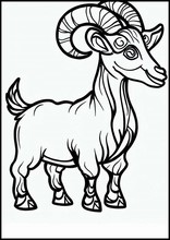 Goats - Animals1