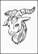 Goats - Animals3