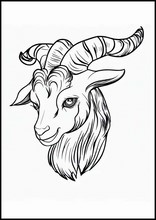 Capre - Animali3