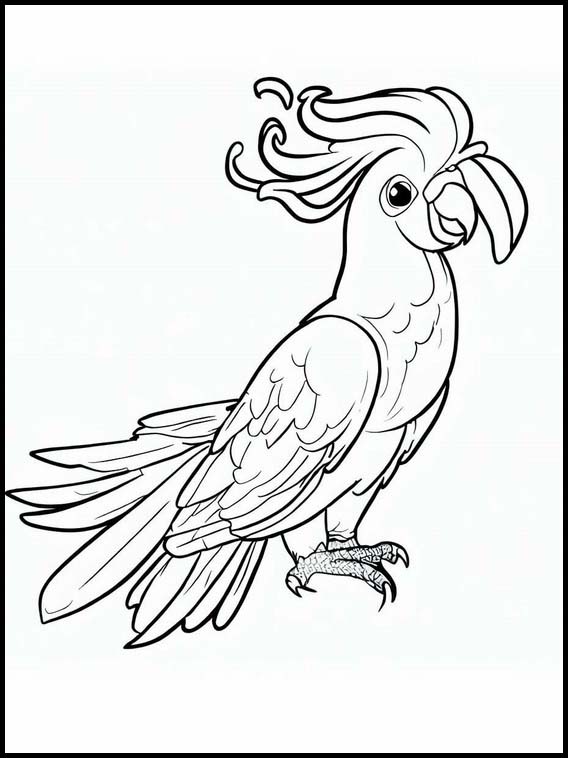Cockatoos - Animals 2