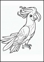 Cockatoos - Animals2