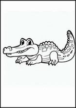Alligatorer - Djur1