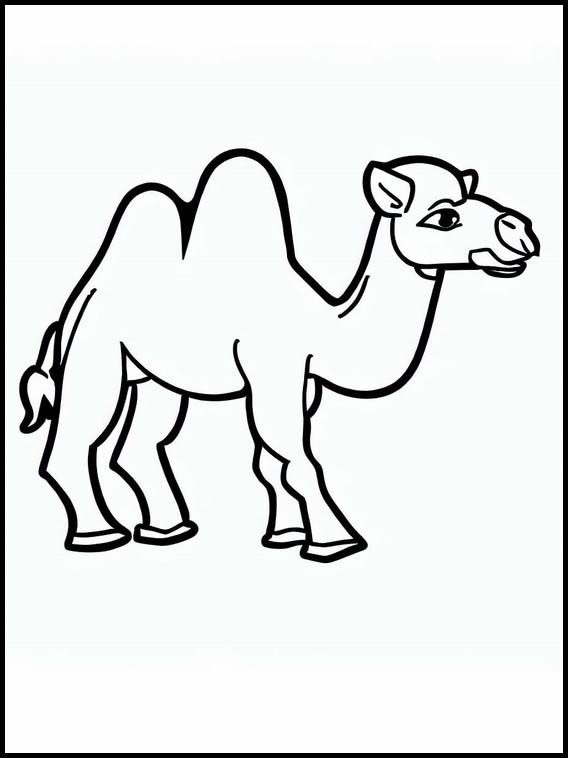 ऊंट 1