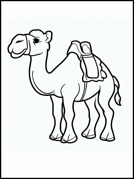 ऊंट 2