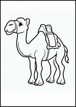 Kamelen - Dieren2