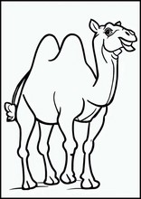 Kamele - Tiere4