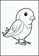 Kanarienvögel - Tiere1