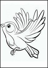 Kanariefugle - Dyr3