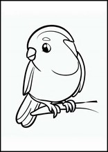 Canarini - Animali4