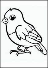 Kanariefugle - Dyr5