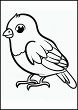 Canarini - Animali5