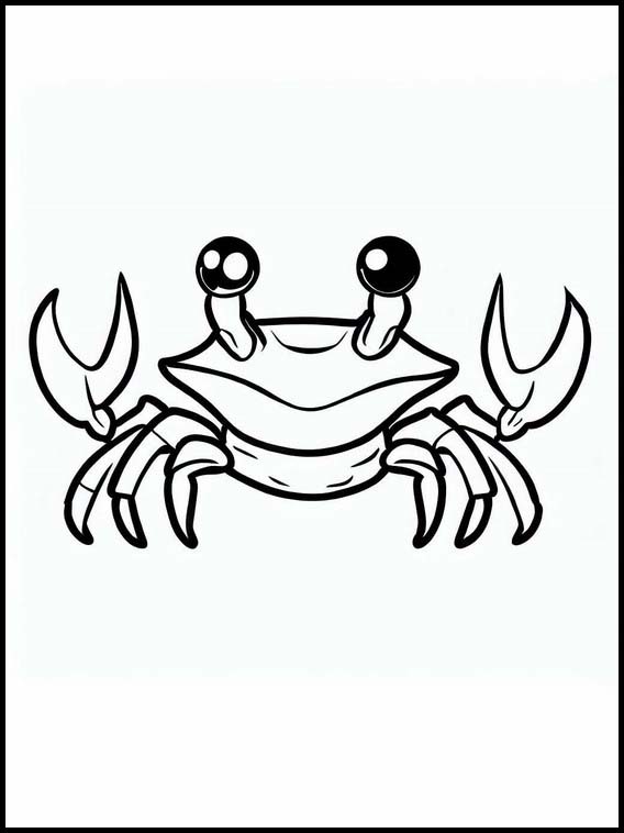 Crabes - Animaux 1