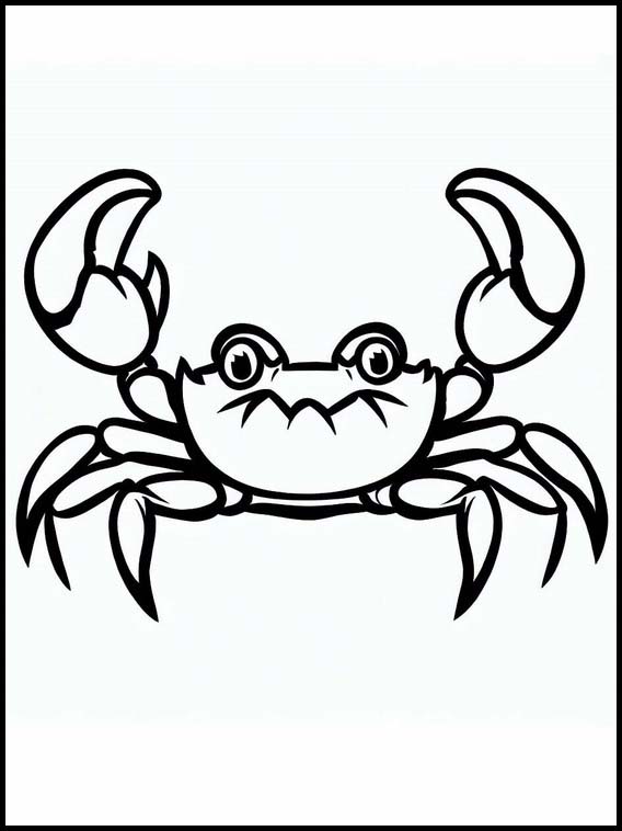 Krabben - Tiere 3