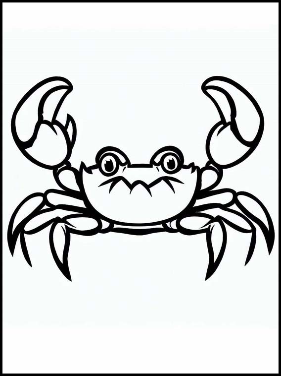 Crabs - Animals 3