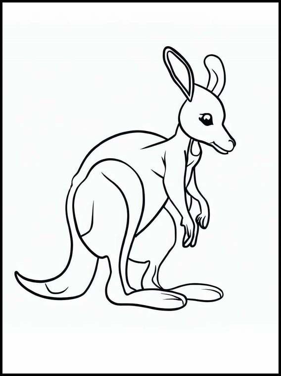 Kangaroos - Animals 2