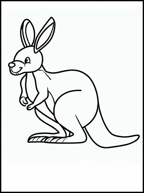 Kangaroos - Animals 3