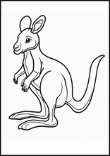 Kangourous - Animaux1