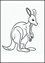 Kangoeroes - Dieren2