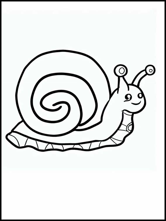 Escargots - Animaux 1