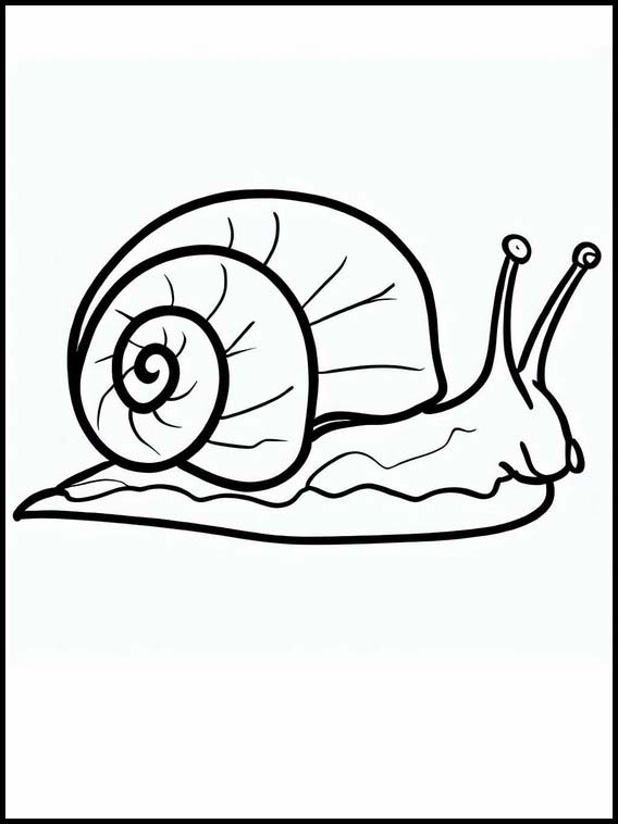 Snails - Animals 4