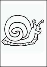 Escargots - Animaux1