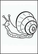 Snails - Animals2