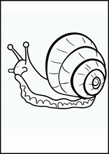 Lumache - Animali2