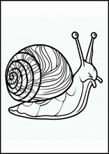 Snails - Animals3