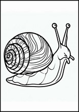 Lumache - Animali3