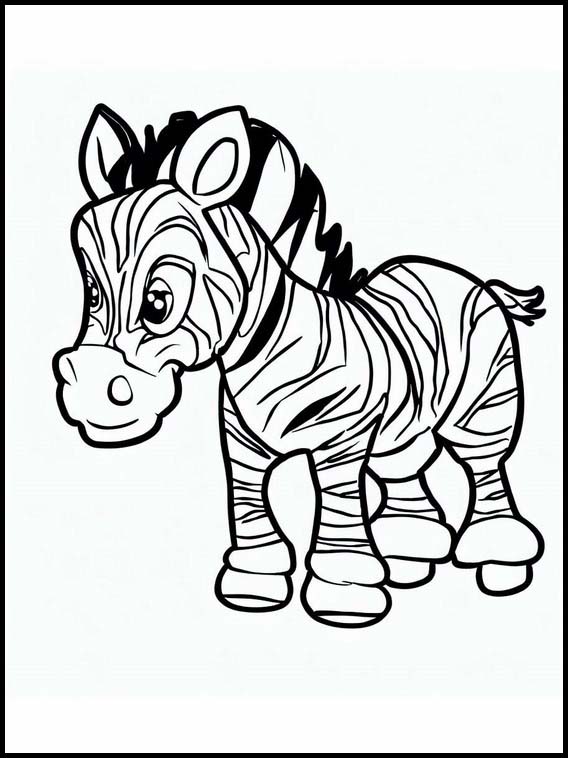 Zebre - Animali 1