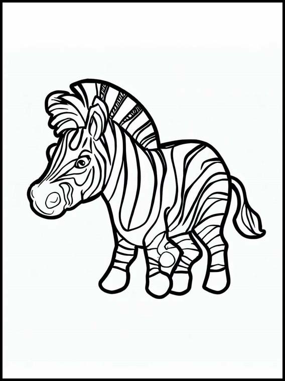 Zebre - Animali 3
