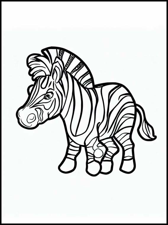 Zebra's - Dieren 3