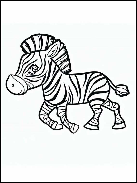 Zebra's - Dieren 4