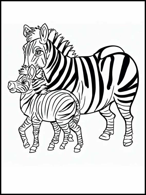 Zebra's - Dieren 6