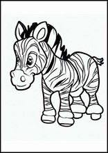 Zebras - Animais1
