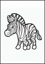 Зебры - Животные3
