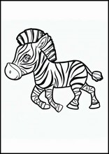 Зебры - Животные4
