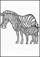 斑馬5