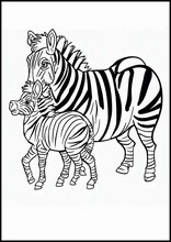 Zebra's - Dieren6